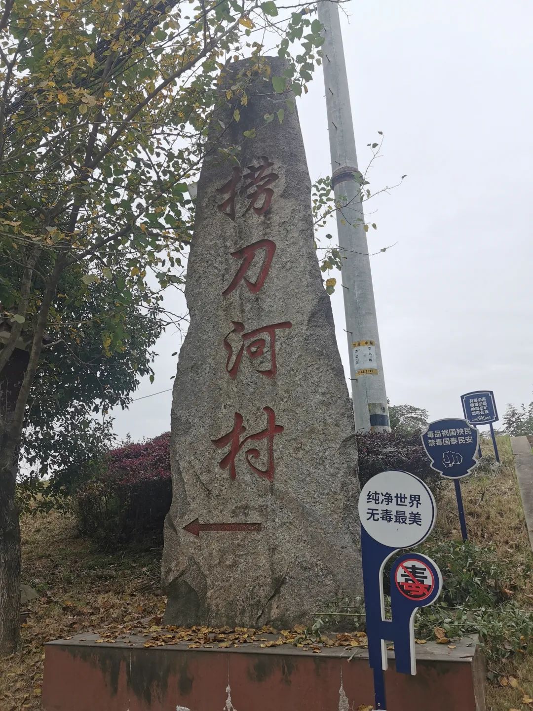 DƬ